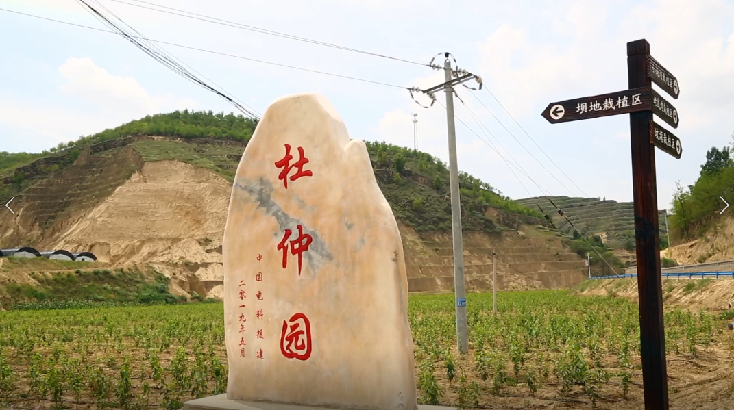 &#27431;&#23453;&#32593;&#23448;&#26041;&#31449;&#20837;&#21475;&#45;&#27431;&#23453;&#40;&#20013;&#22269;&#41;
