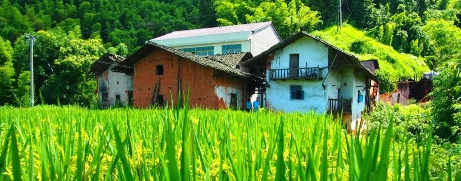 &#27431;&#23453;&#32593;&#23448;&#26041;&#31449;&#20837;&#21475;&#45;&#27431;&#23453;&#40;&#20013;&#22269;&#41;